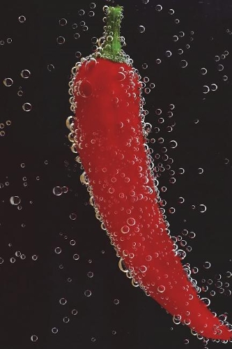 Chili Pepper, Water, and Bubbles Journal