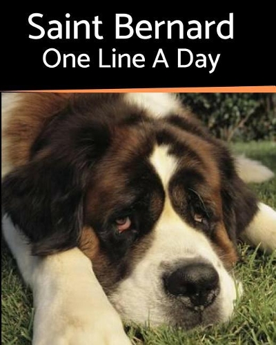 Saint Bernard - One Line a Day
