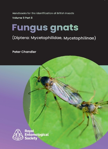 Fungus Gnats: (Diptera: Mycetophilidae, Mycetophilinae)