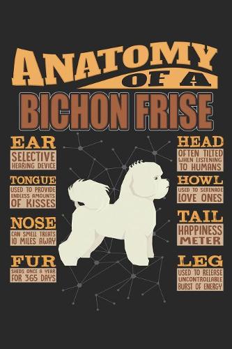 Anatomy Of A Bichon Frise