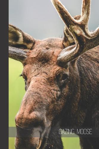 Gazing Moose