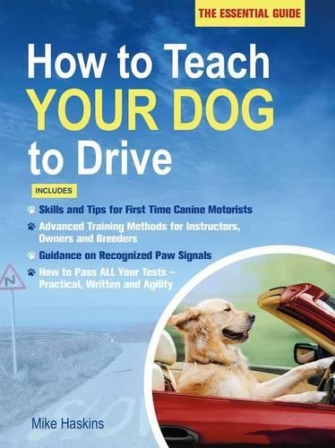 How to Teach Your Dog to Drive