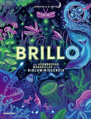 Brillo / Glow