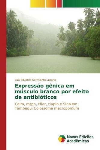 Expressão gênica em músculo branco por efeito de antibióticos: (Portuguese)