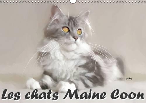Les Chats Maine Coon 2017