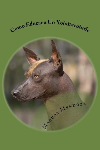 Como Educar a Un Xoloitzcuintle