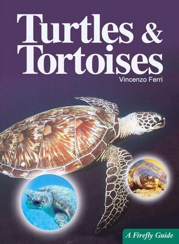 Turtles & Tortoises