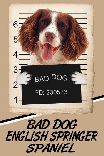 Bad Dog English Springer Spaniel