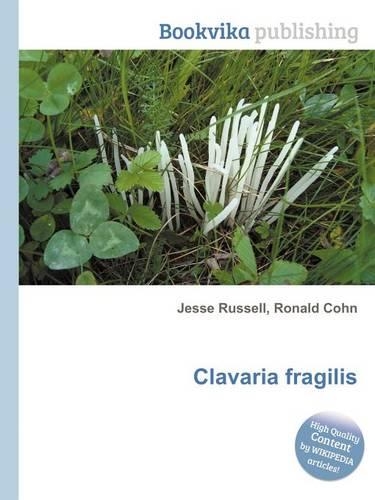Clavaria Fragilis