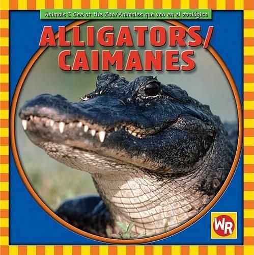 Alligators / Caimanes