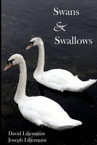Swans and Swallows