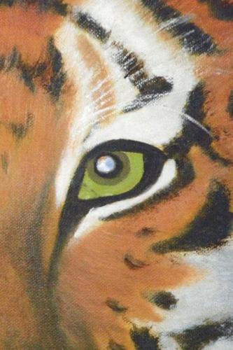 Tiger Eyes Journal