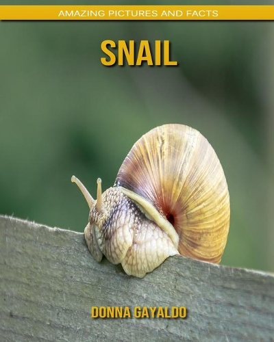 Snail
