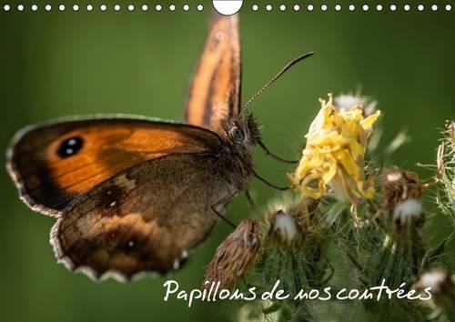 Papillons De Nos Contrees 2017