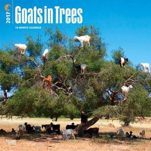 Goats in Trees 2017 Square