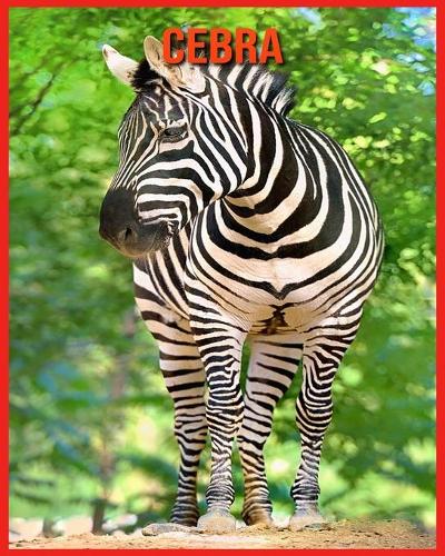 Cebra