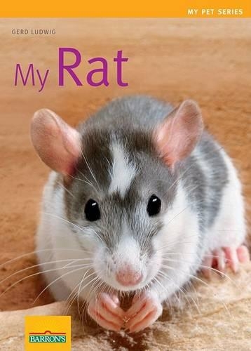 My Rat: (My Pet)
