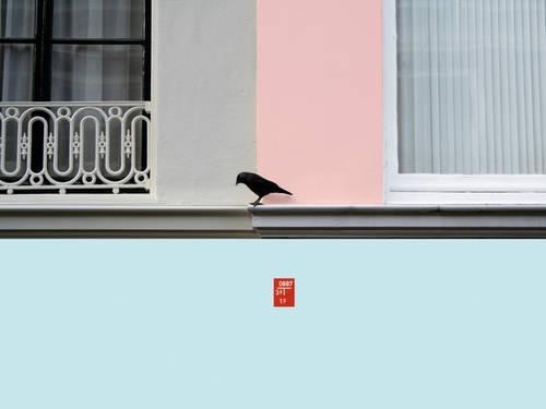 Bloomberg New Contemporaries 2011