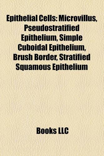 Epithelial Cells