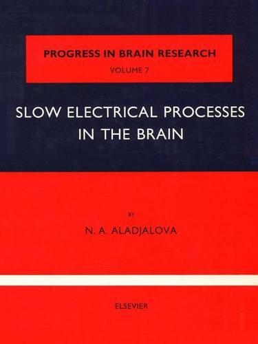 Slow Electrical Processes in the Brain: (Progress in Brain Research)