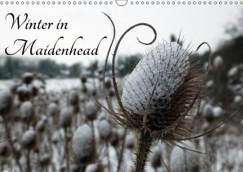 Winter in Maidenhead 2018