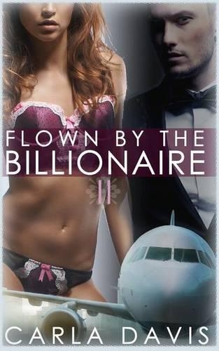 Flown by the Billionaire