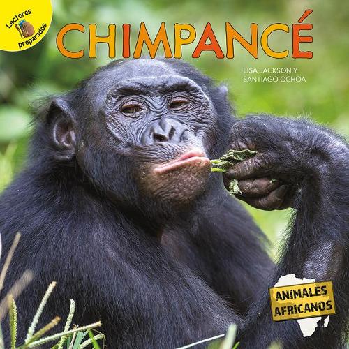 Chimpancé: Chimpanzee(Animales Africanos (African Animals))
