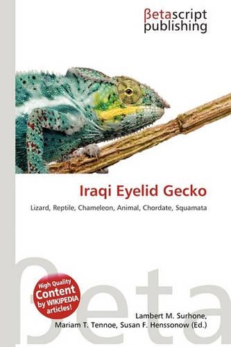 Iraqi Eyelid Gecko