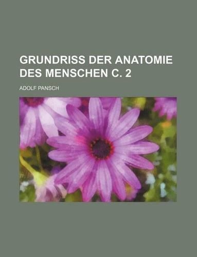 Grundriss Der Anatomie Des Menschen C. 2