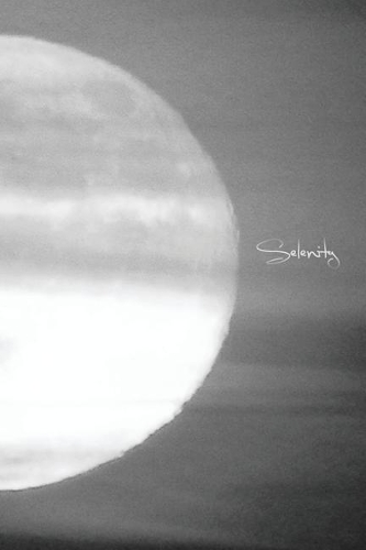 Selenity Book Four: (English)