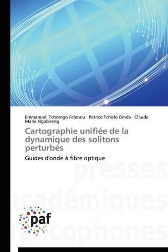 Cartographie Unifiée de la Dynamique Des Solitons Perturbés: (Omn.Pres.Franc.)