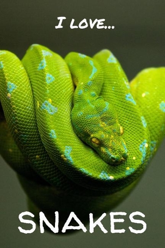 I Love Snakes