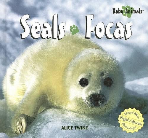 Seals / Focas