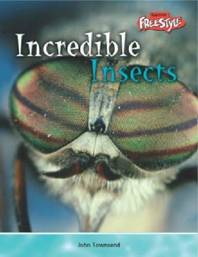Incredible Creatures: Insects: (Incredible Creatures)