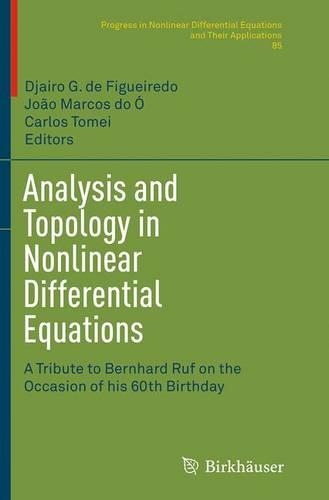 Analysis and Topology in Nonlinear Differential Equations: A Tribute to Bernhard Ruf on the Occasion of his 60th Birthday(85 Progress in Nonlinear Differential Equations and Their Applications)