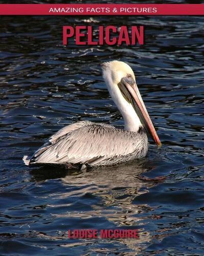 Pelican