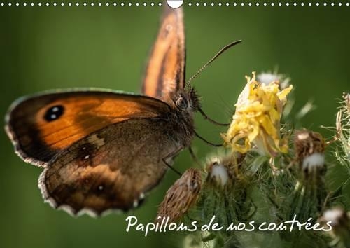 Papillons De Nos Contrees 2017: Palette De Peintures De La Nature(Calvendo Animaux)