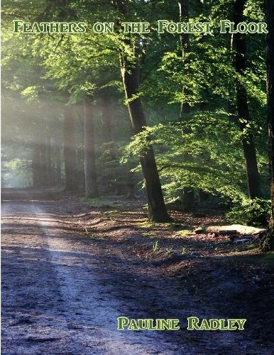 Feathers on the Forest Floor