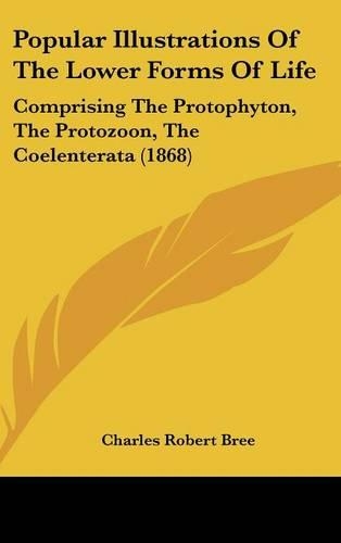 Popular Illustrations Of The Lower Forms Of Life