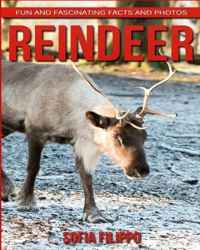 Reindeer