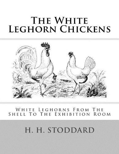 The White Leghorn Chickens: White Leghorns From The Shell To The Exhibition Room
