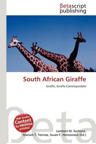South African Giraffe