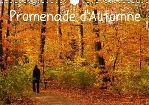 Promenade d'Automne 2015: Une promenade haute en couleurs et pleine de sérénité.(Calvendo Nature)