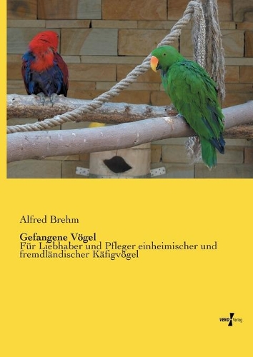Gefangene Vögel