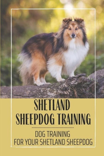 Shetland Sheepdog Training