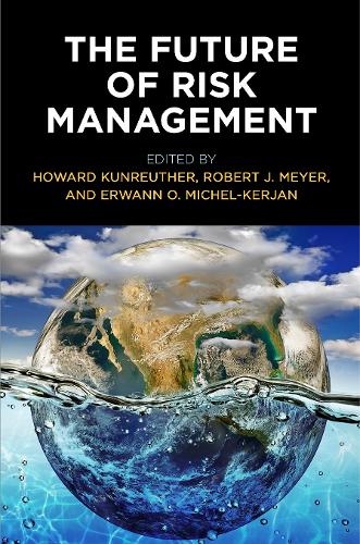 The Future of Risk Management: (Critical Studies in Risk and Disaster)