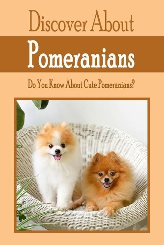 Discover About Pomeranians
