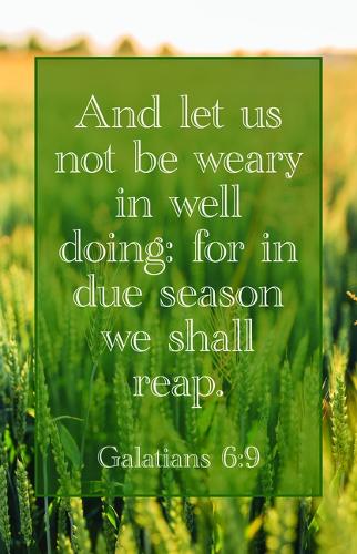 General Worship Bulletin: We Shall Reap (Package of 100): Galatians 6:9 (Kjv)