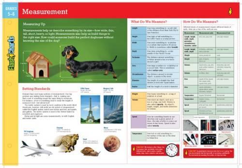 Measurement FlashCharts