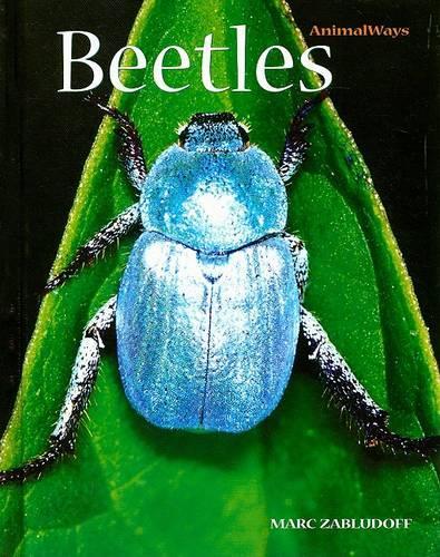 Beetles: (Animal Ways)